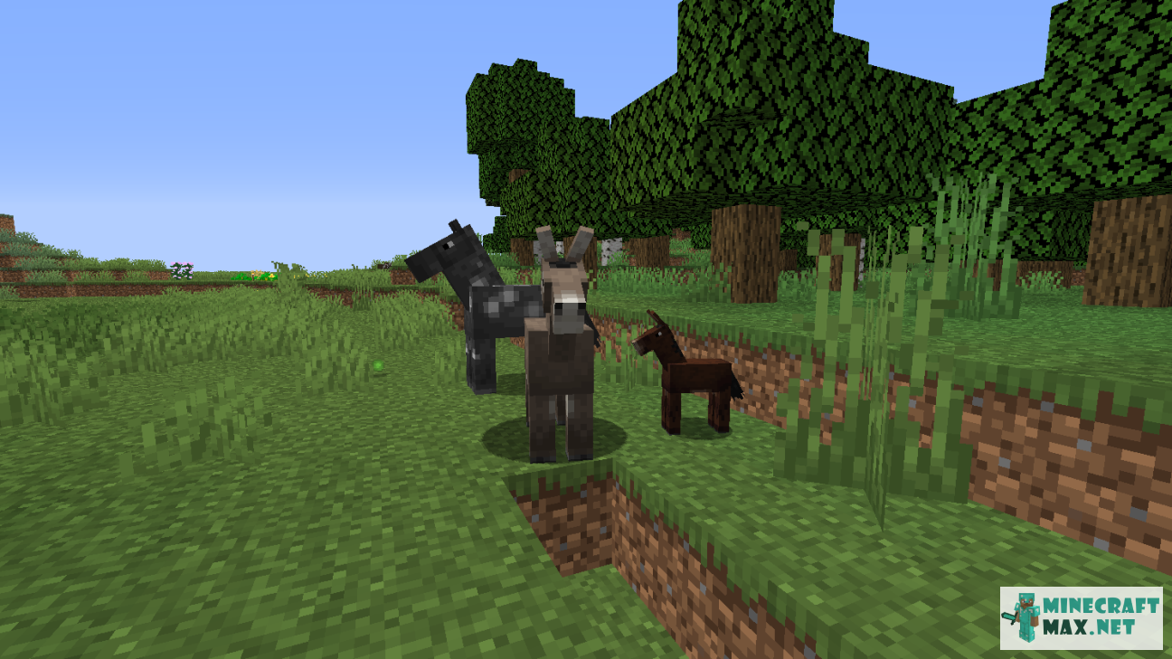 Mule – Minecraft Wiki