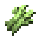 Sugar Cane in Minecraft
