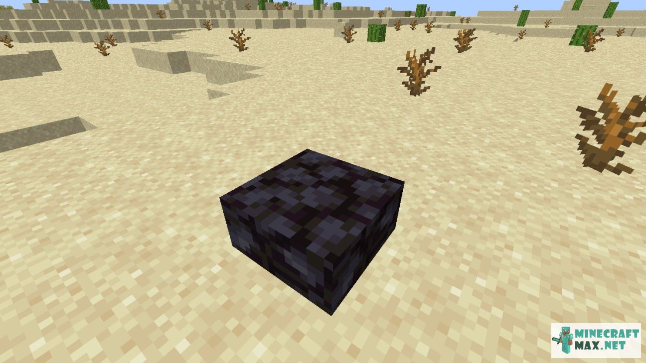 Black gem in Minecraft | Screenshot 2919