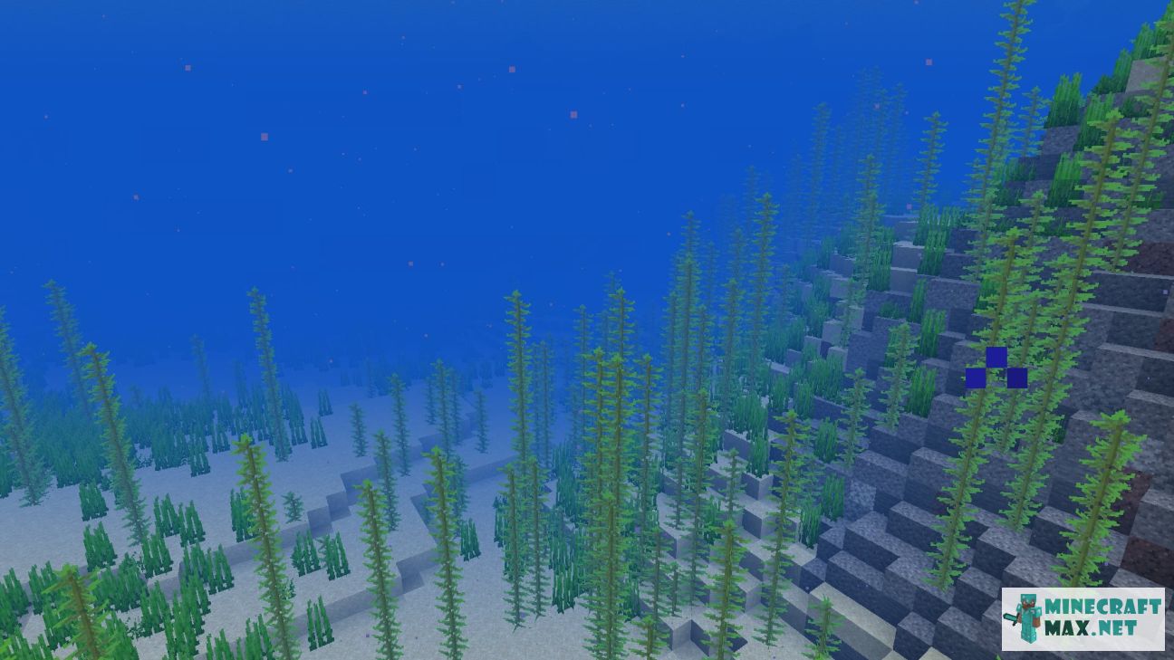 Modem in Minecraft | Screenshot 3517