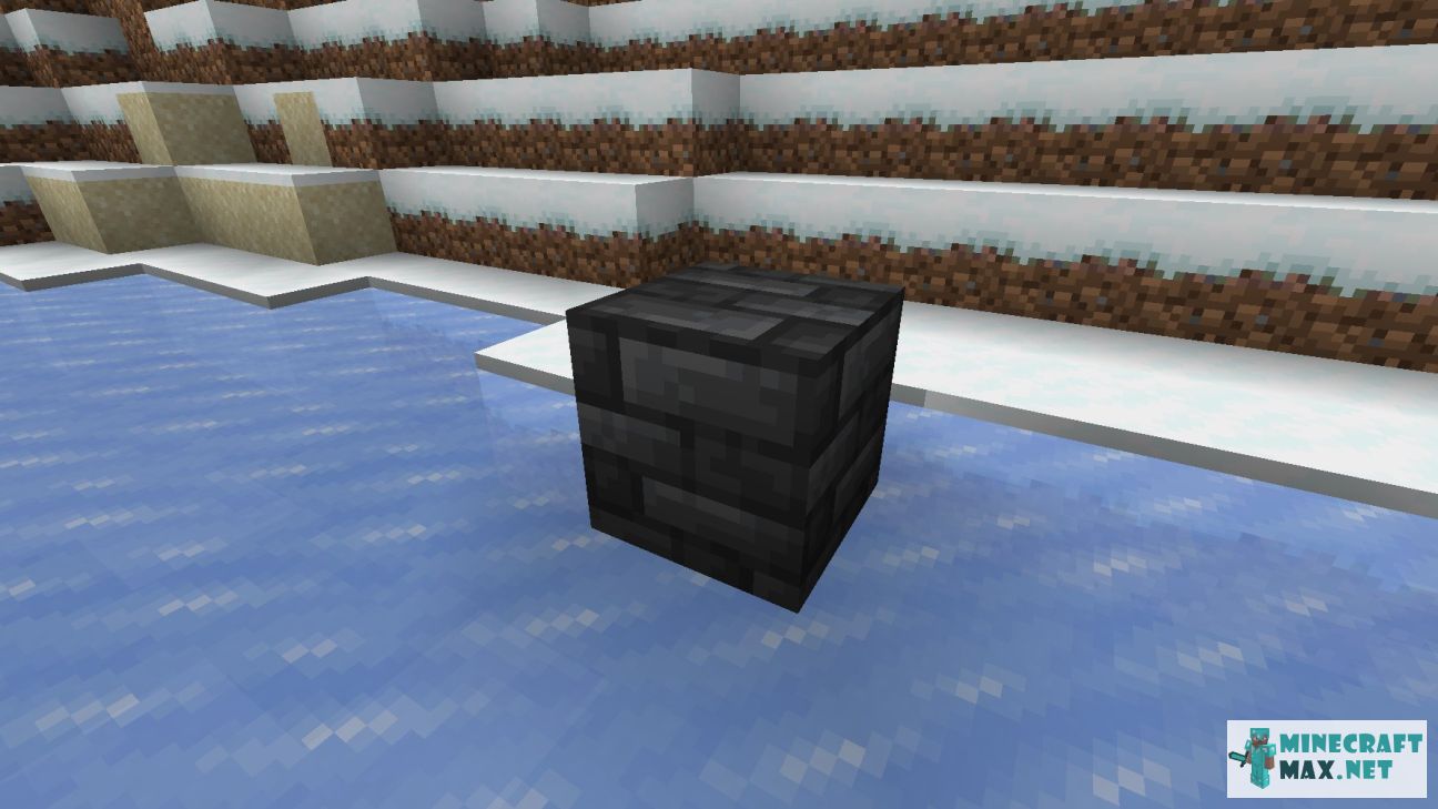 Black gem in Minecraft | Screenshot 3433