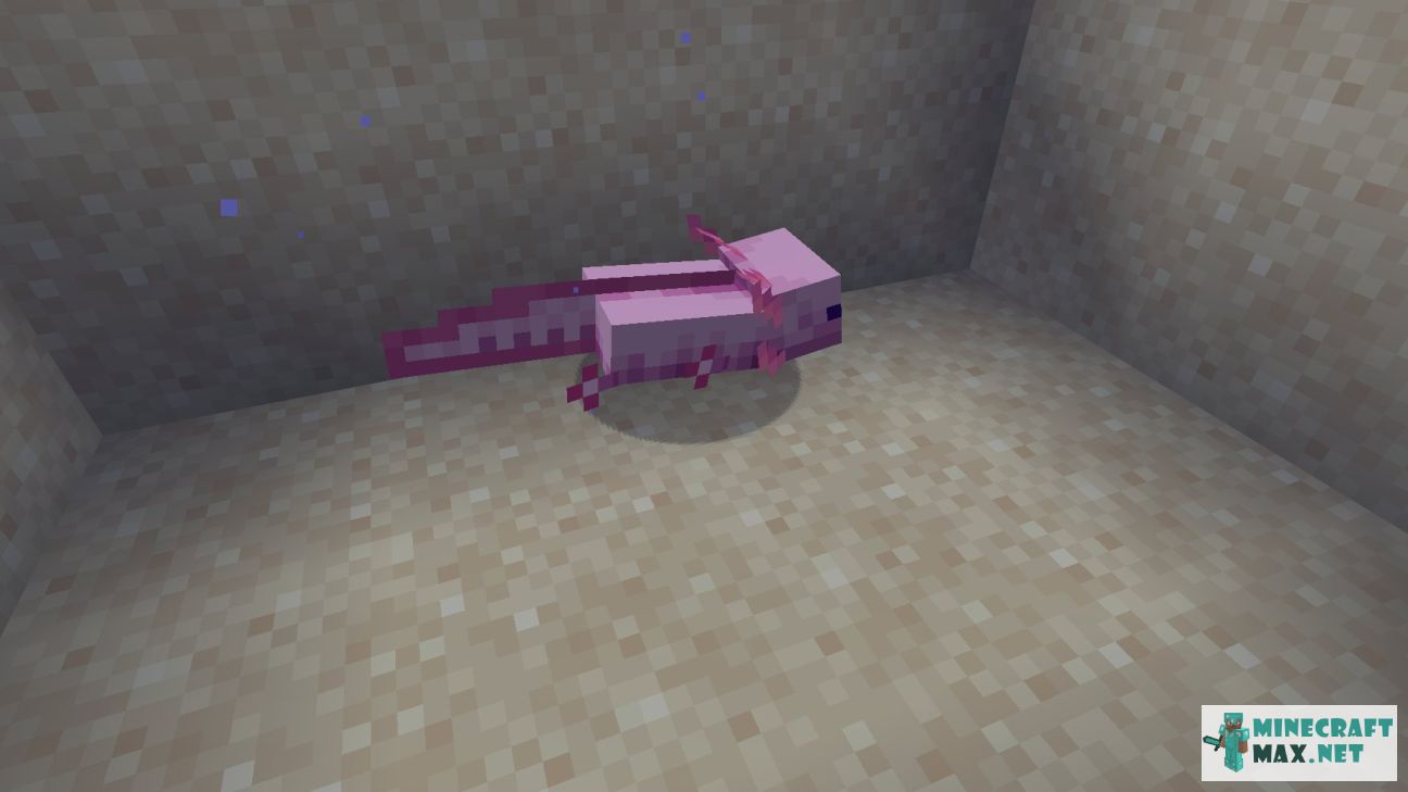 Bucket of Axolotl in Minecraft | Screenshot 2
