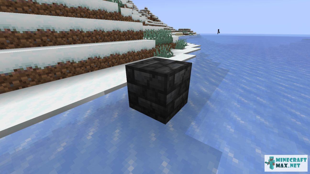 Black gem in Minecraft | Screenshot 3438