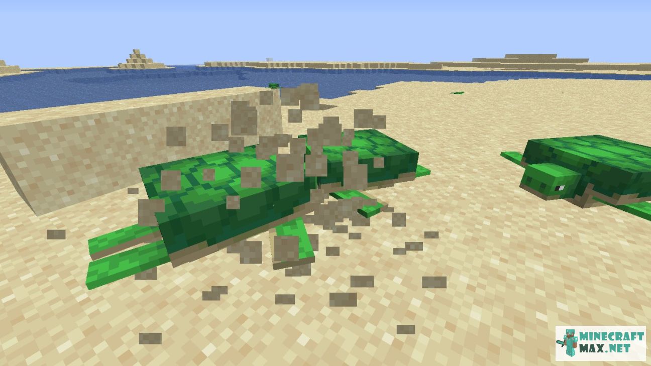 Turtle Egg in Minecraft | Screenshot 2