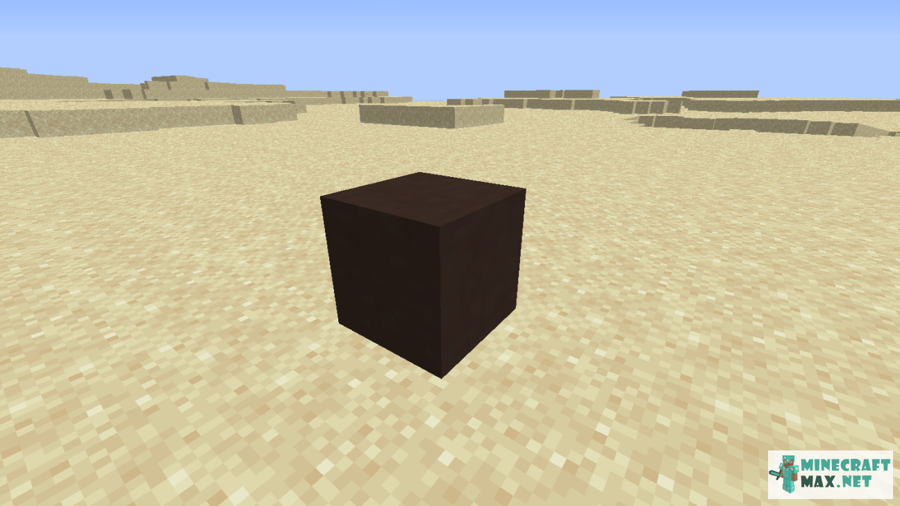 Black gem in Minecraft | Screenshot 1092