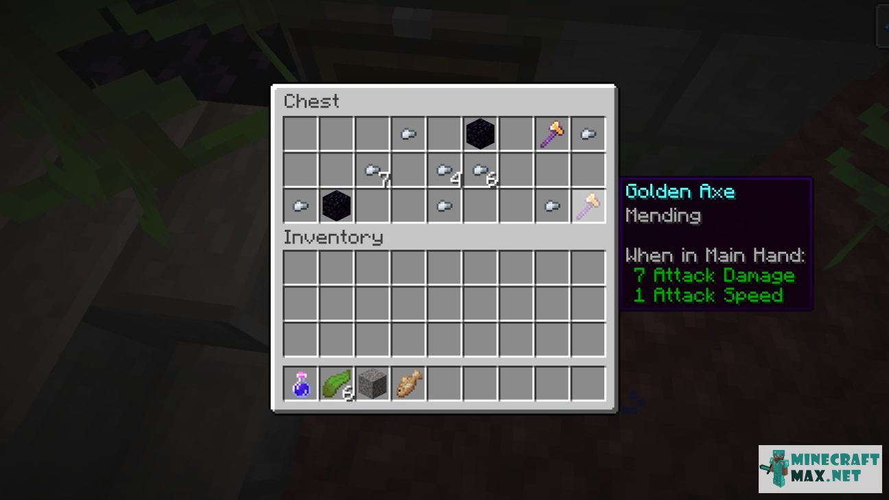 Black gem in Minecraft | Screenshot 3063
