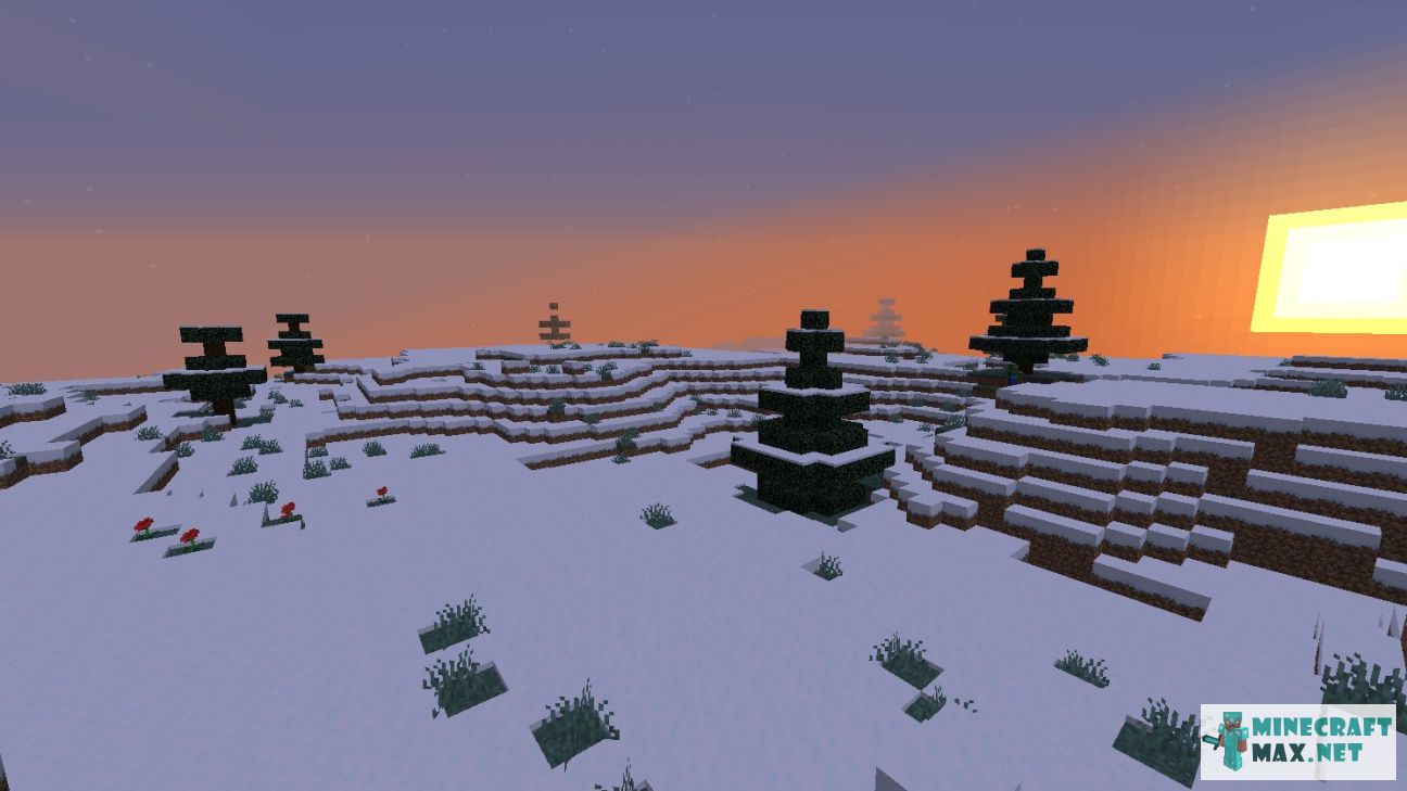 Tundra Biome Minecraft