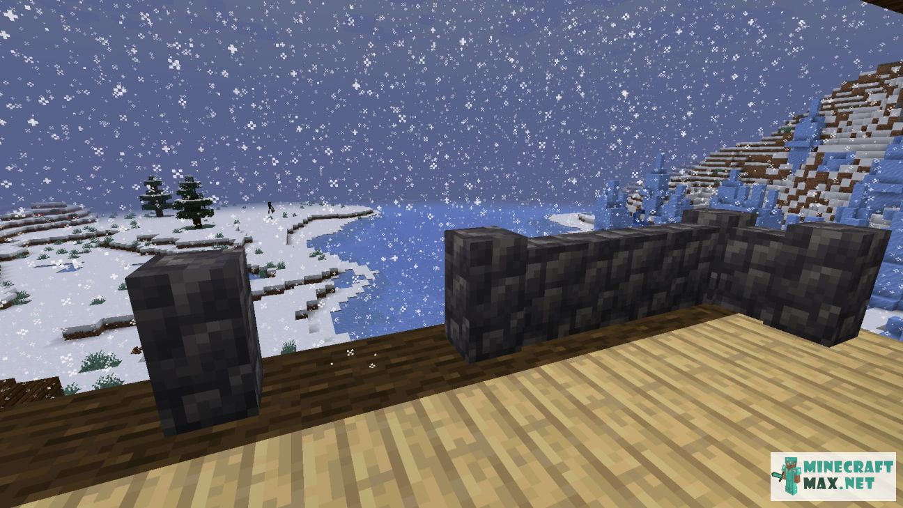 Black gem in Minecraft | Screenshot 3422