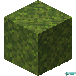 Moss Block in Minecraft