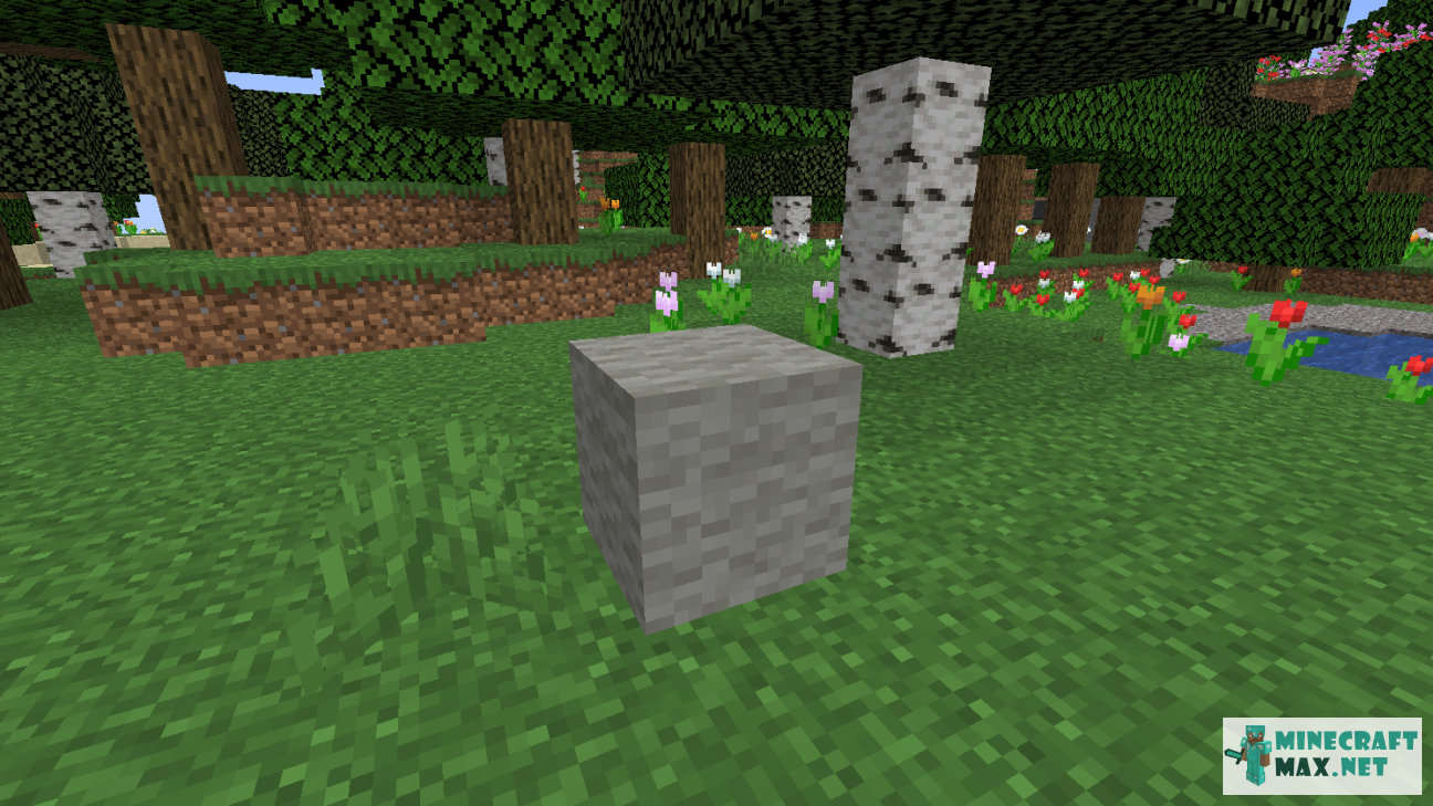 Modem in Minecraft | Screenshot 1187