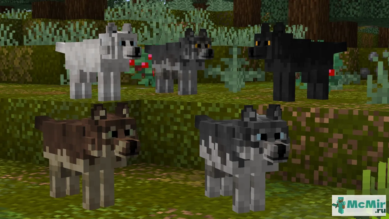 Текстура Лучшие собаки V1.16 | Скачать текстуру для Minecraft: 1
