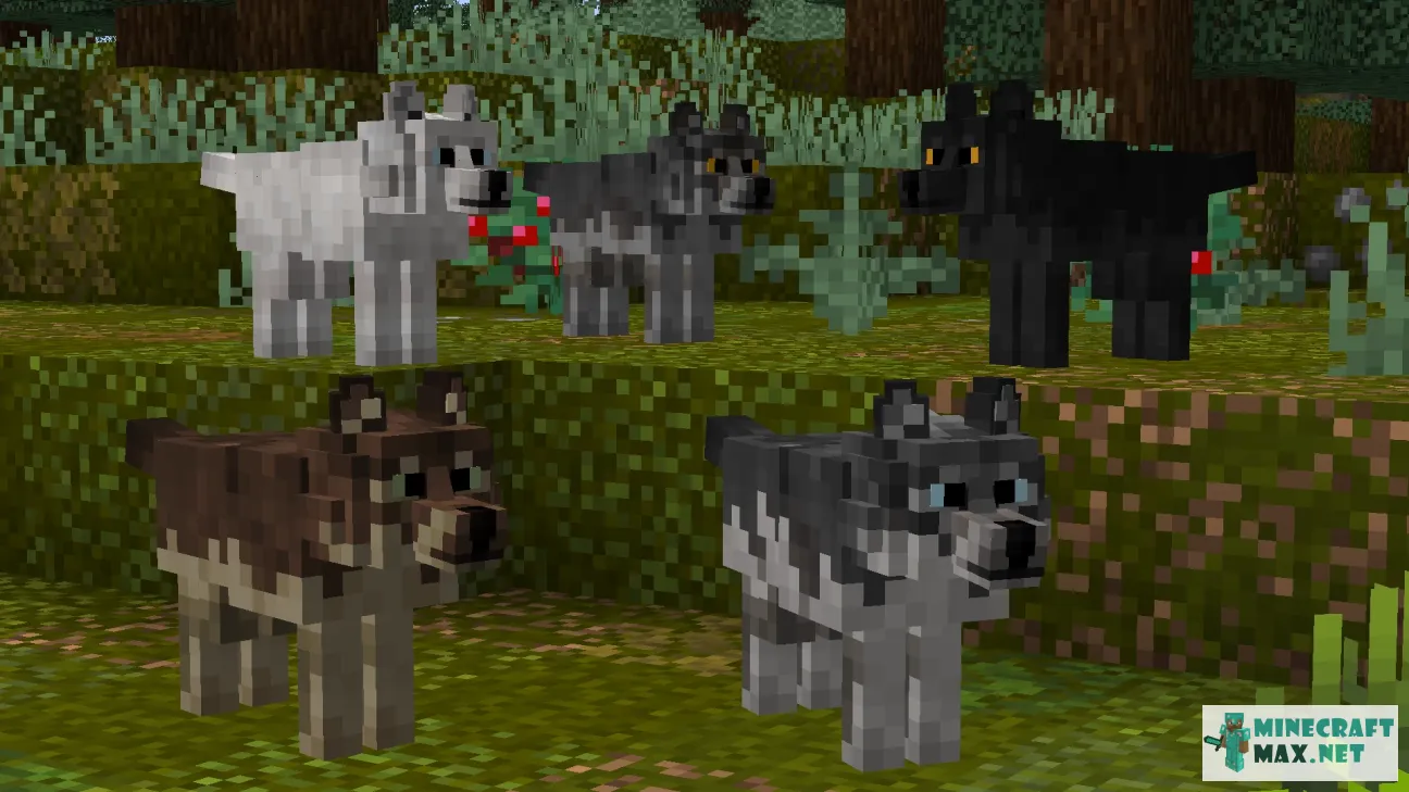 Better Dogs V1.16 | Download texture for Minecraft: 1