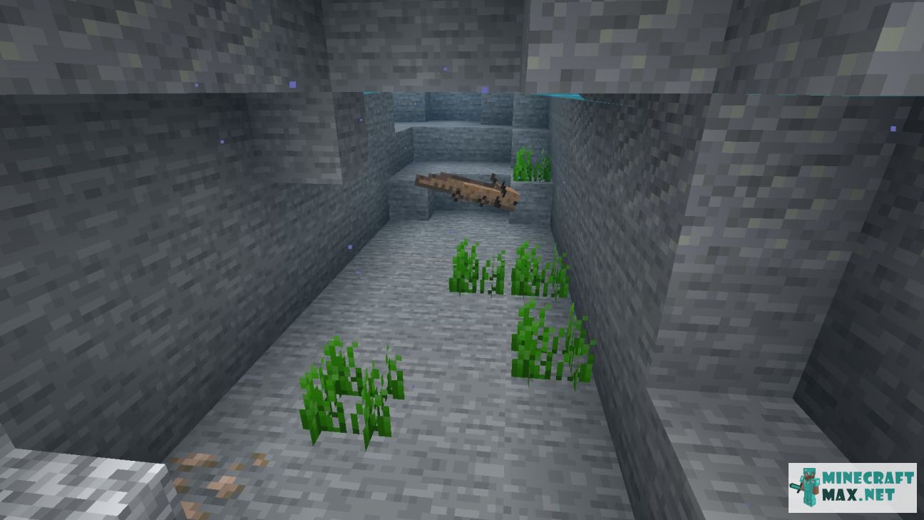 Modem in Minecraft | Screenshot 3657