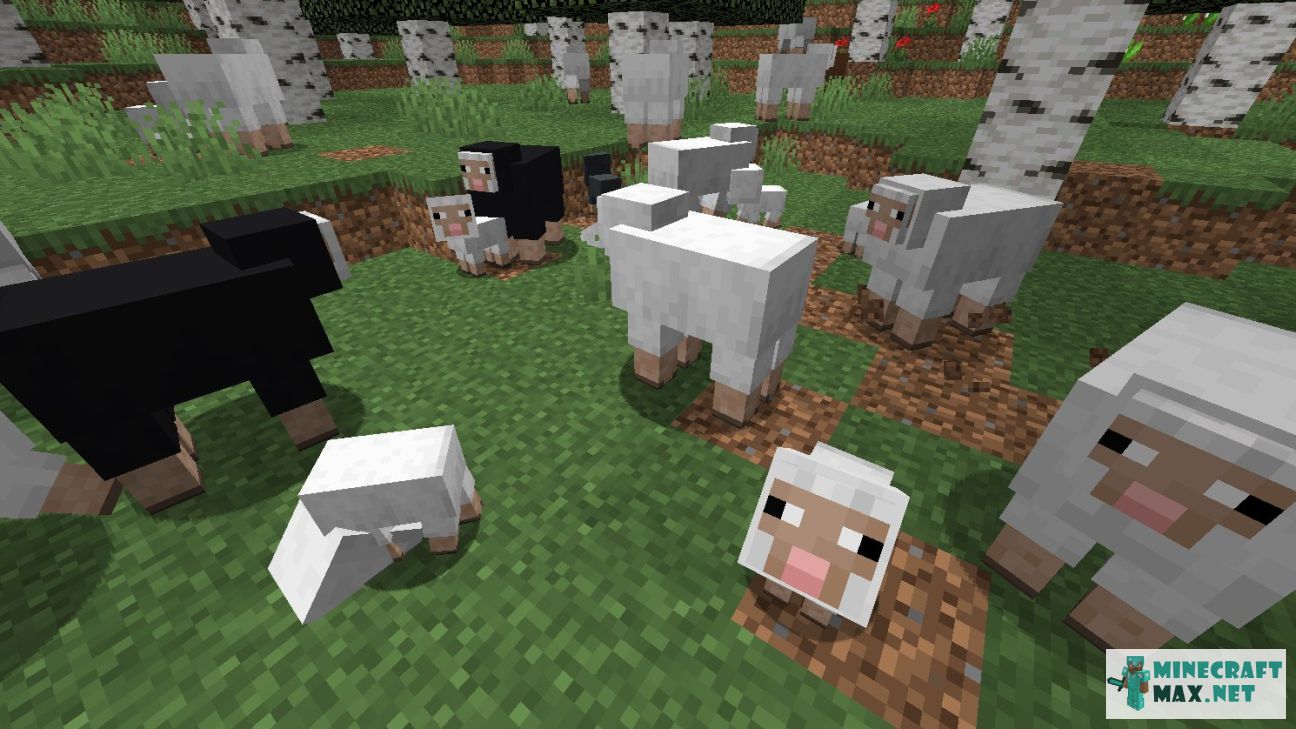 Sheep | How to craft sheep in Minecraft | Minecraft Wiki