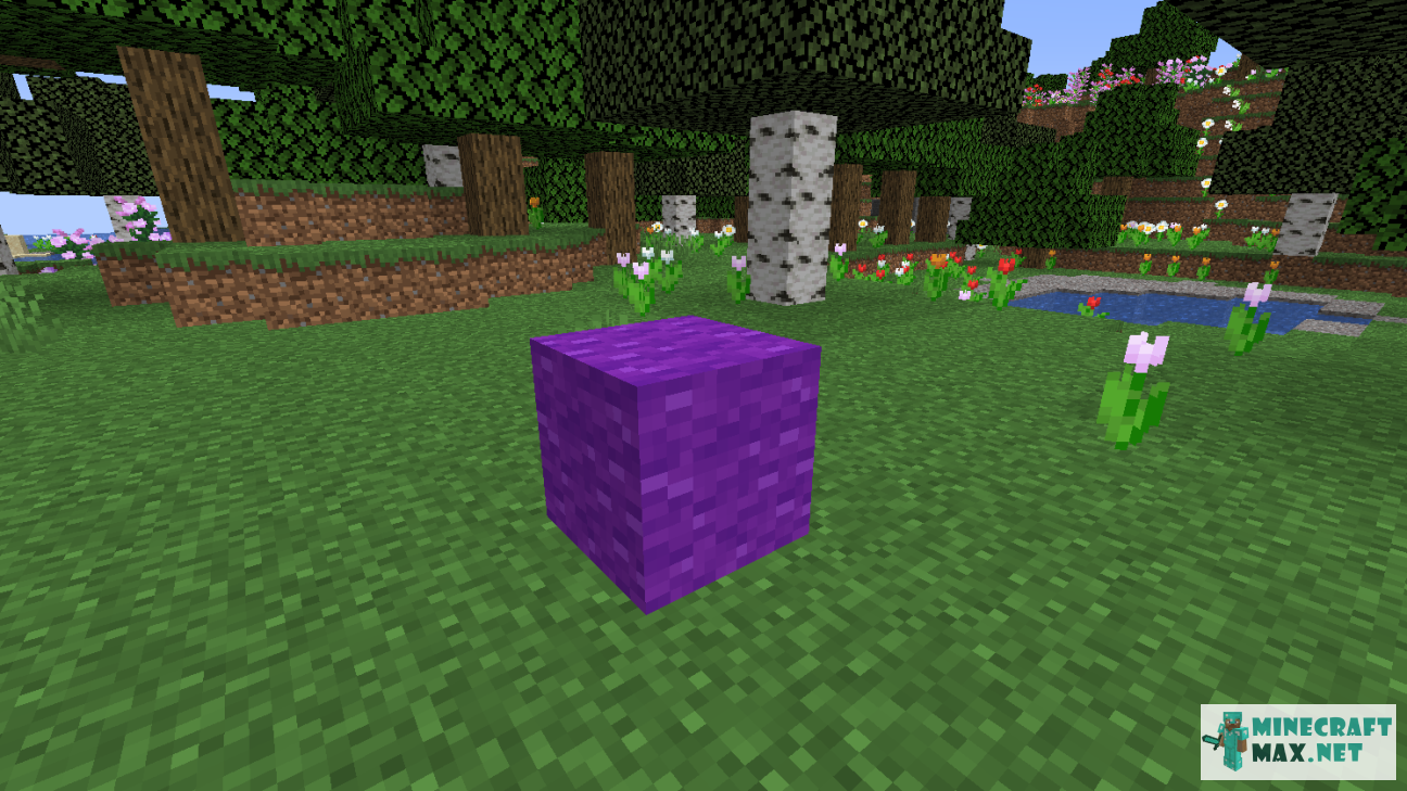 Modem in Minecraft | Screenshot 1189