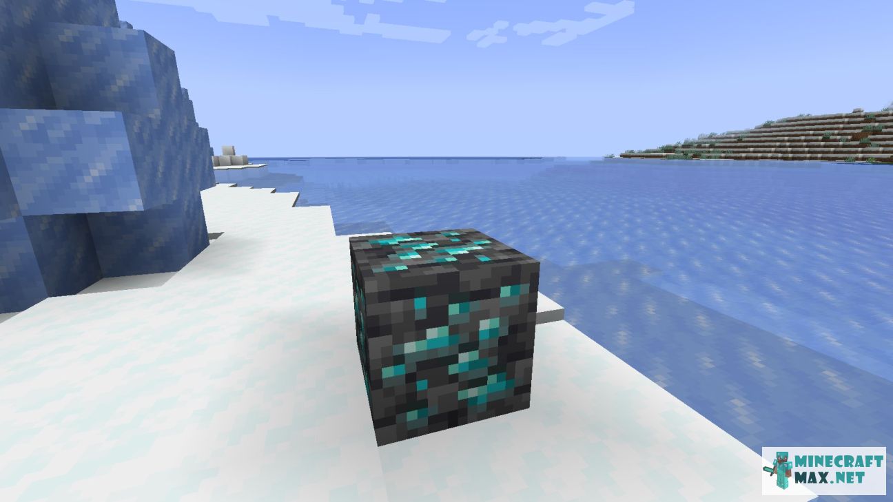 Black gem in Minecraft | Screenshot 3266
