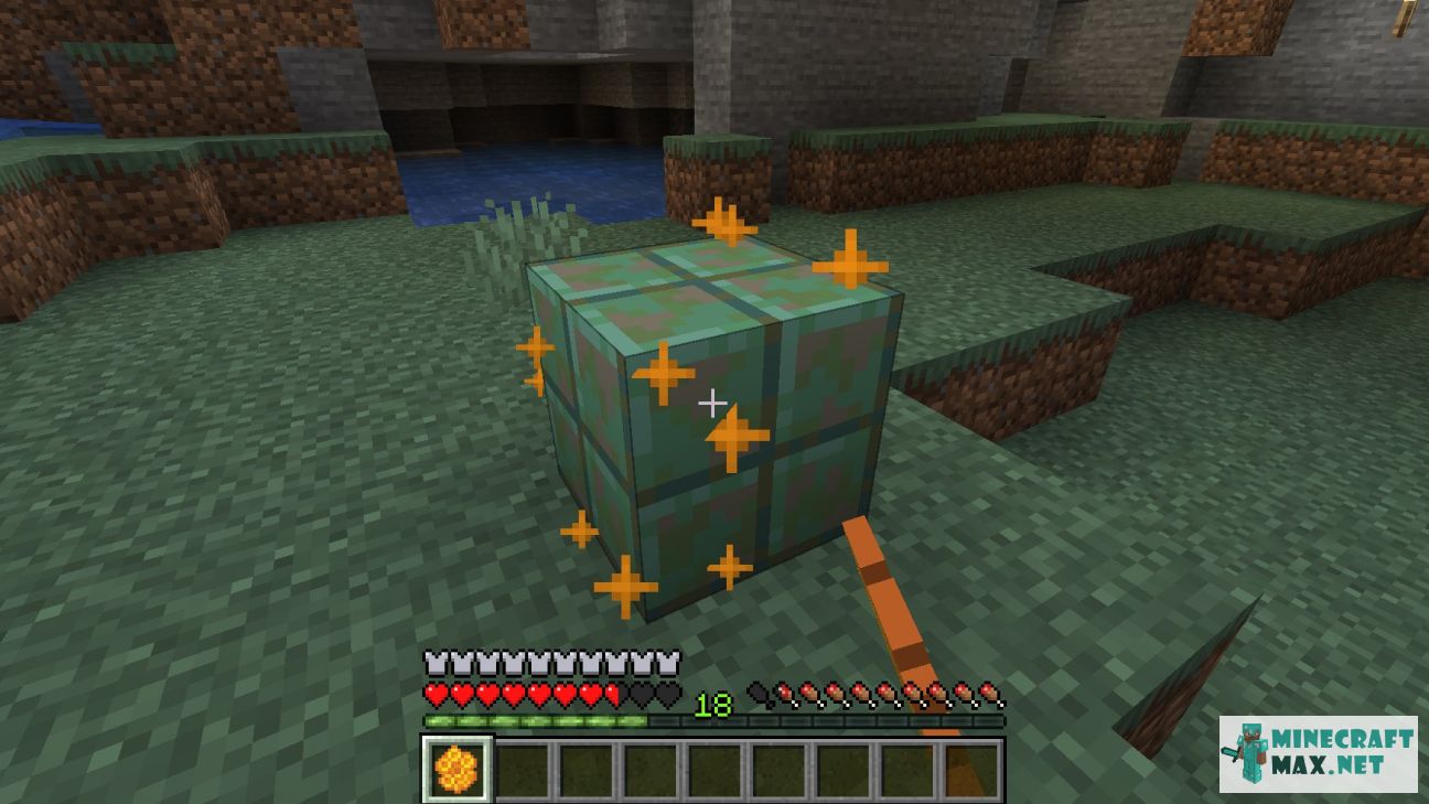 Black gem in Minecraft | Screenshot 3379
