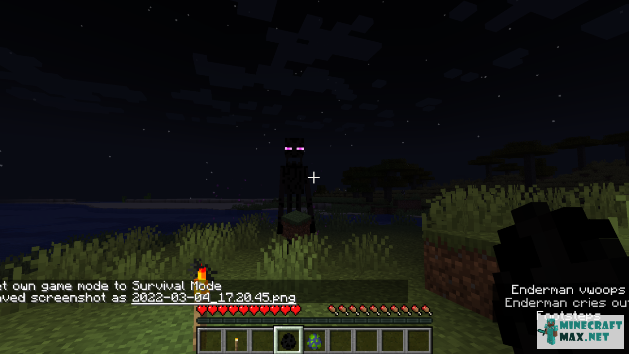 Quests Portrait of an aggressive enderman for Minecraft | Screenshot 8