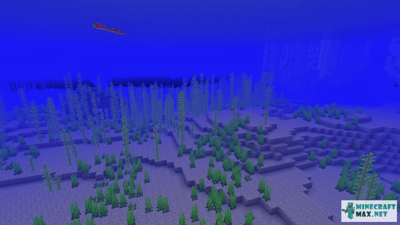 Modem in Minecraft | Screenshot 3509