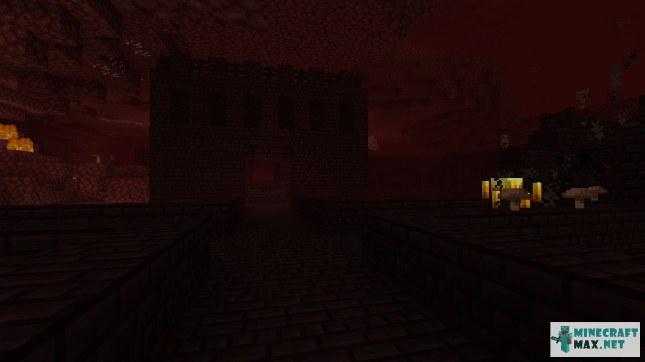 Black gem in Minecraft | Screenshot 1347