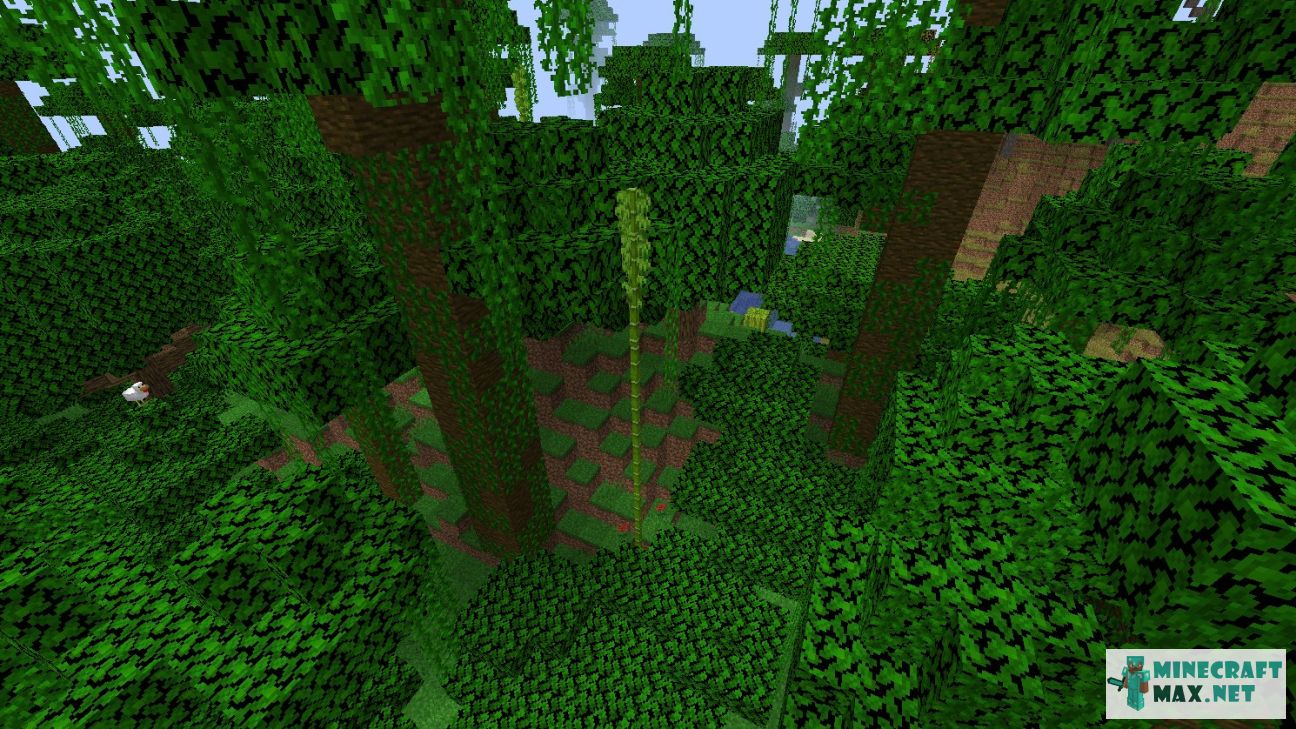 Modem in Minecraft | Screenshot 1004