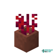 Potted Crimson Roots in Minecraft