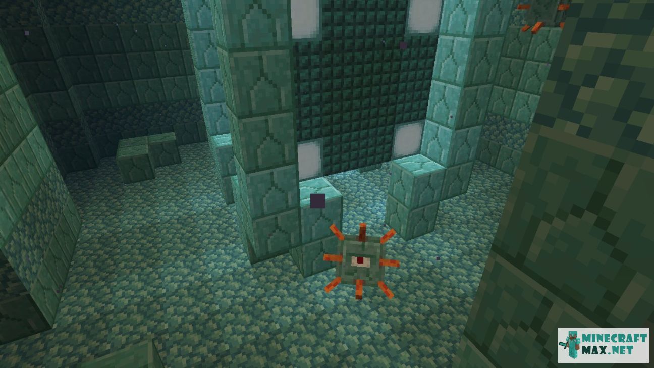 Black gem in Minecraft | Screenshot 1275