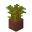 Potted Acacia Sapling in Minecraft