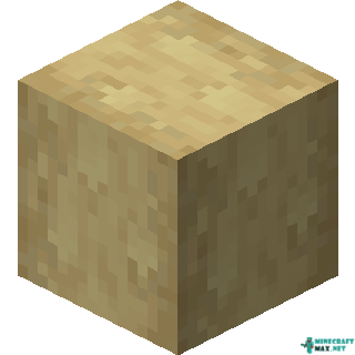 Stripped Birch Wood in Minecraft