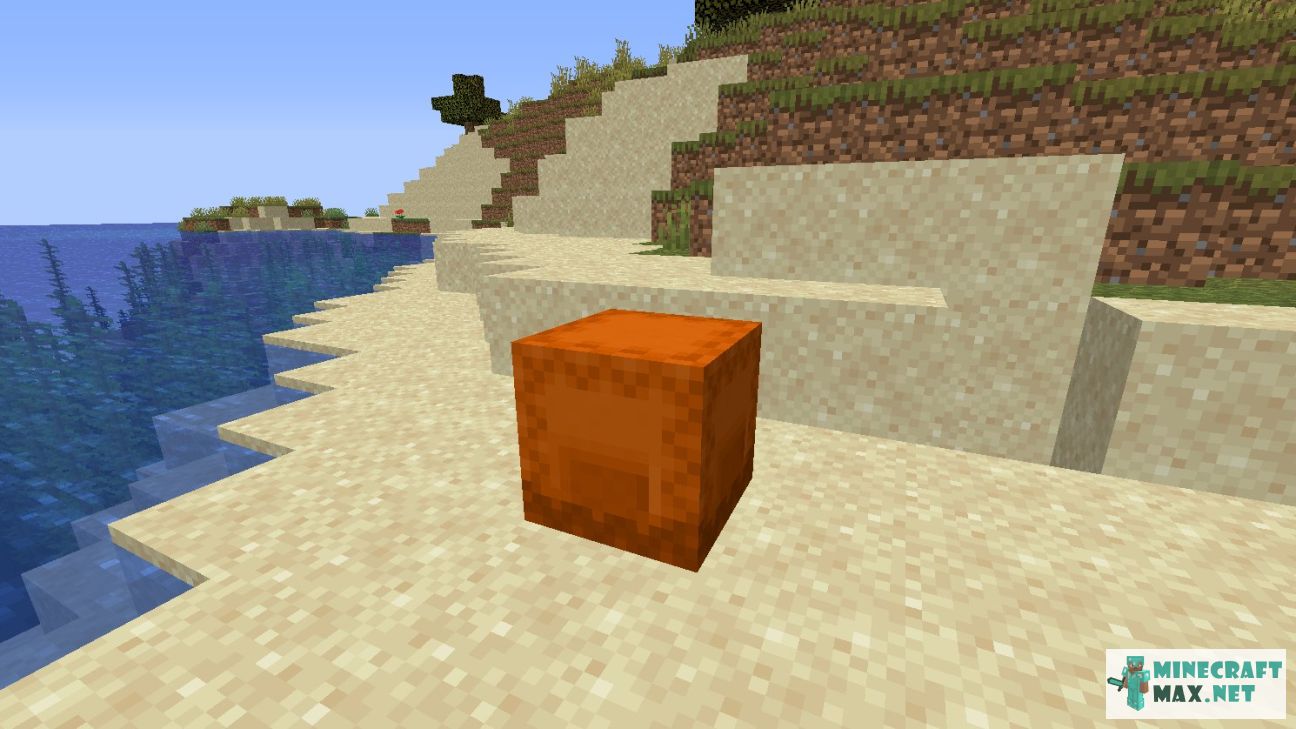 Orange Shulker Box in Minecraft | Screenshot 2