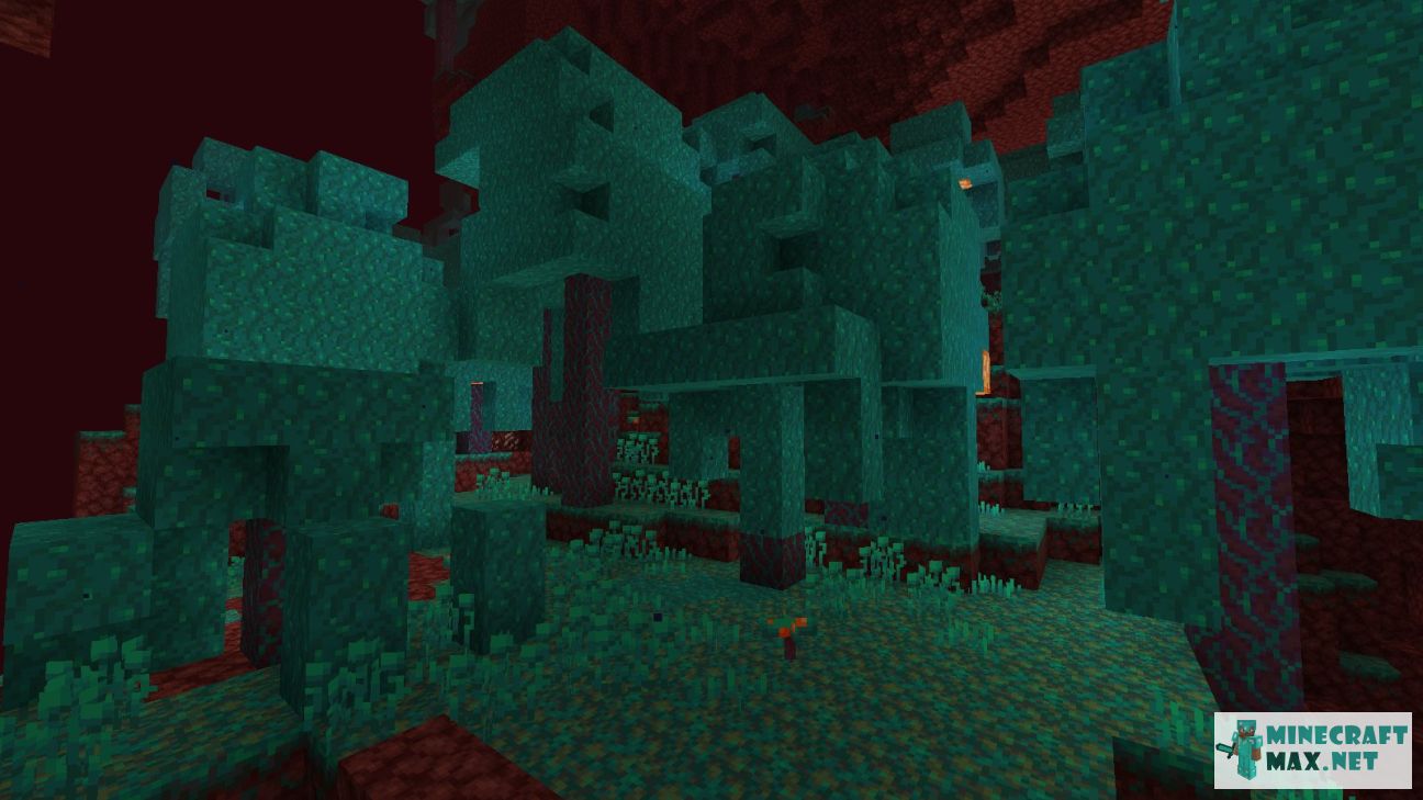 Black gem in Minecraft | Screenshot 3605