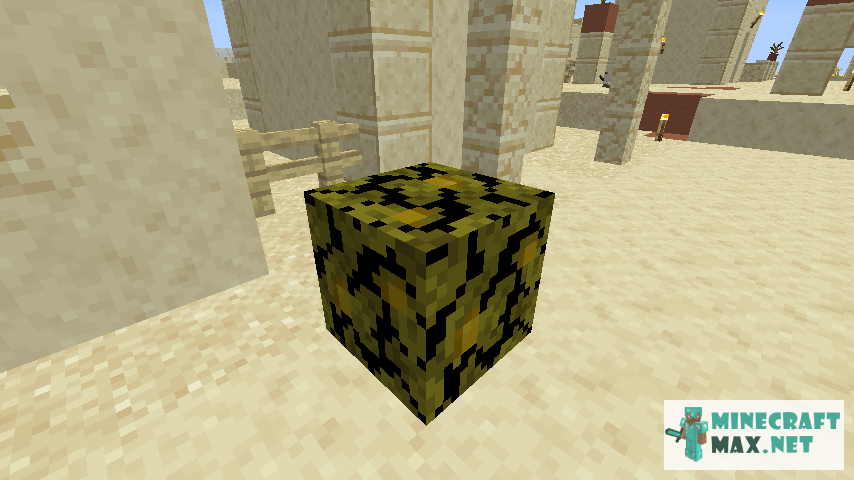 Black gem in Minecraft | Screenshot 473