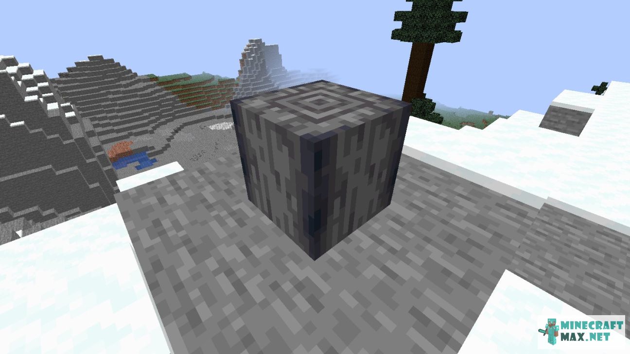 Black gem in Minecraft | Screenshot 2977