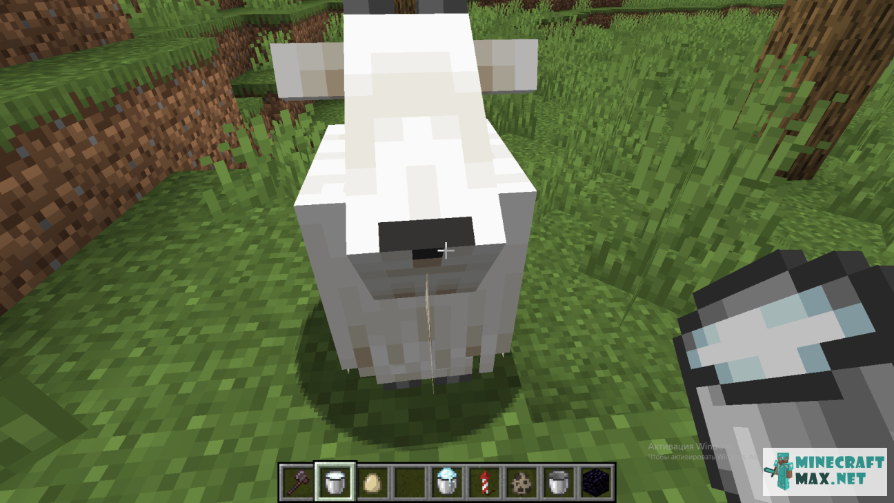 Veiciet uzdevumu Подоить козу programmā Minecraft | Screenshot 1