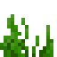 Seagrass in Minecraft