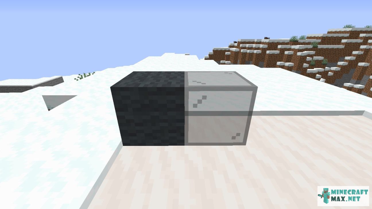 Black gem in Minecraft | Screenshot 281