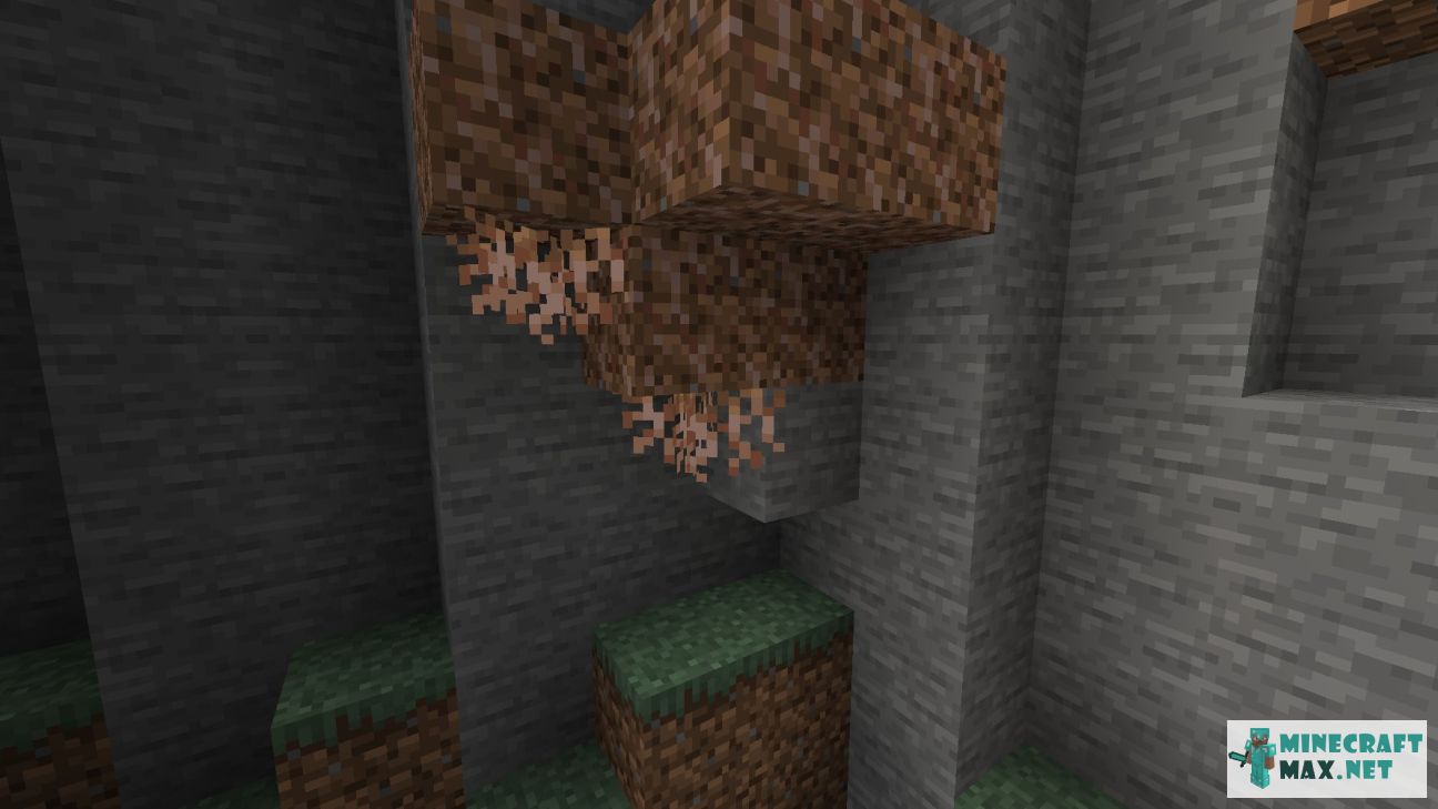 Hanging Roots in Minecraft | Screenshot 1