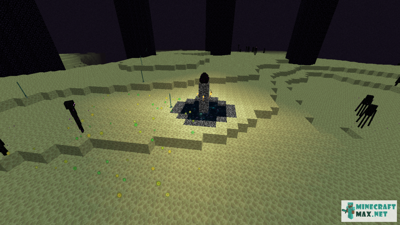 Black gem in Minecraft | Screenshot 977