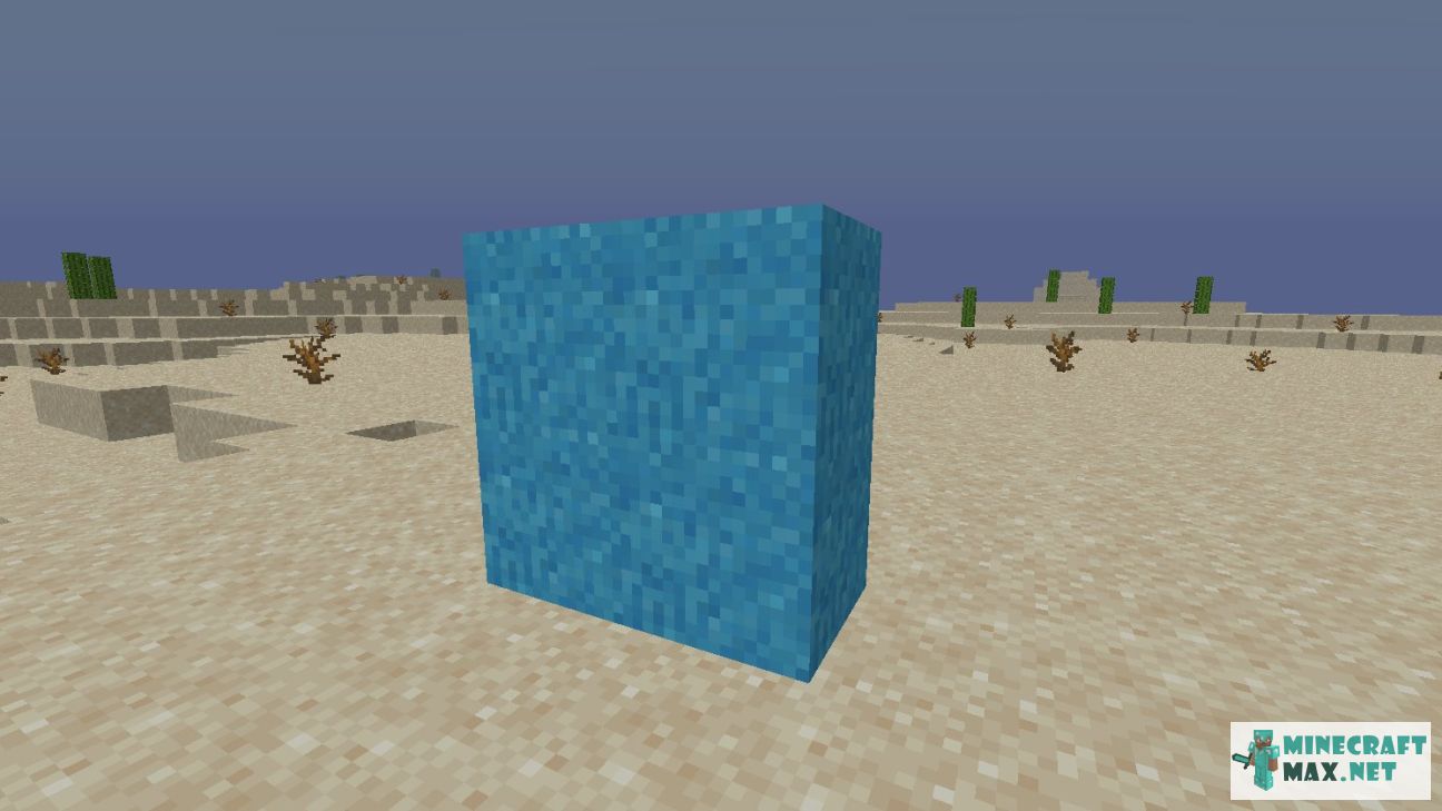 Black gem in Minecraft | Screenshot 2709