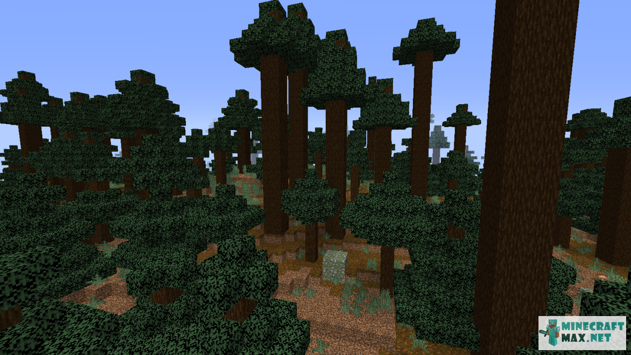 Modem in Minecraft | Screenshot 1043