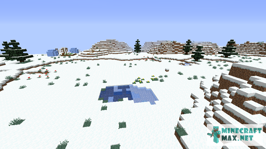 Tundra Biome Minecraft