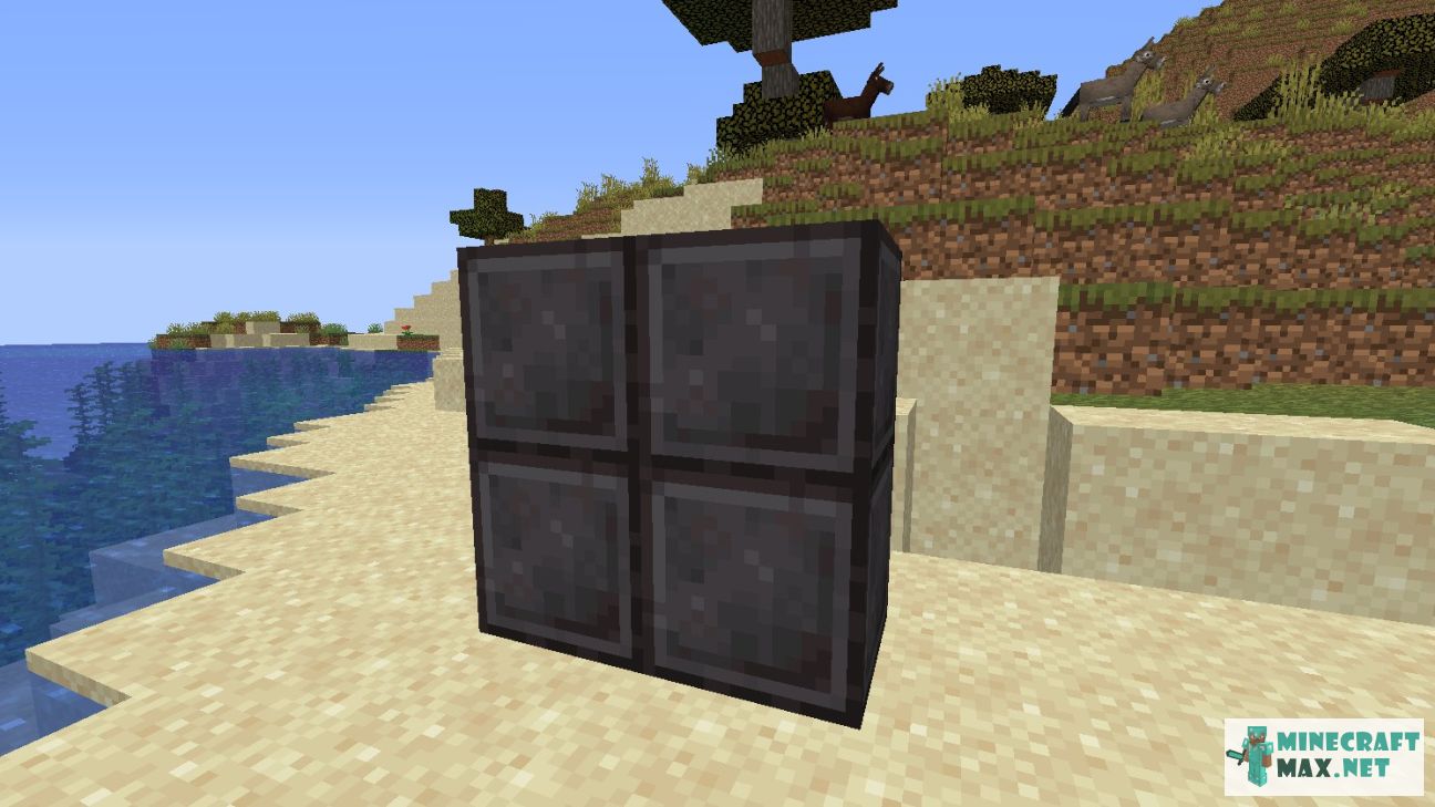 Black gem in Minecraft | Screenshot 2110