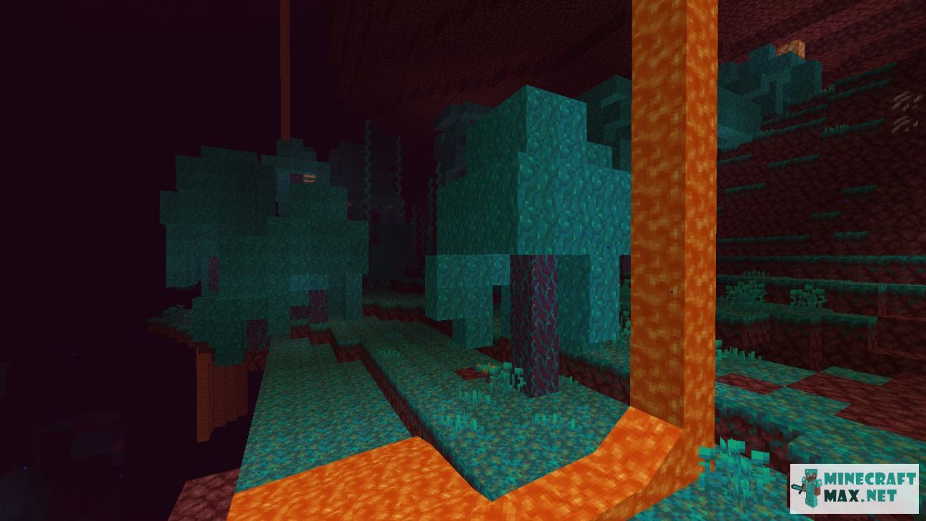 Black gem in Minecraft | Screenshot 2015