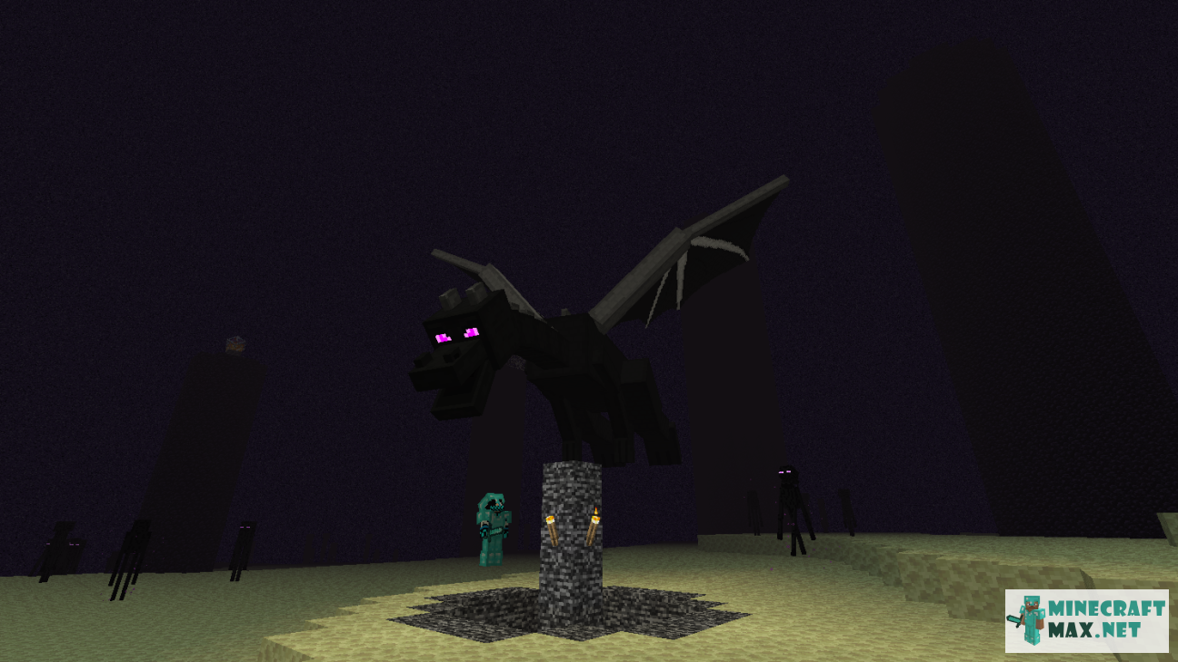 Black gem in Minecraft | Screenshot 1033