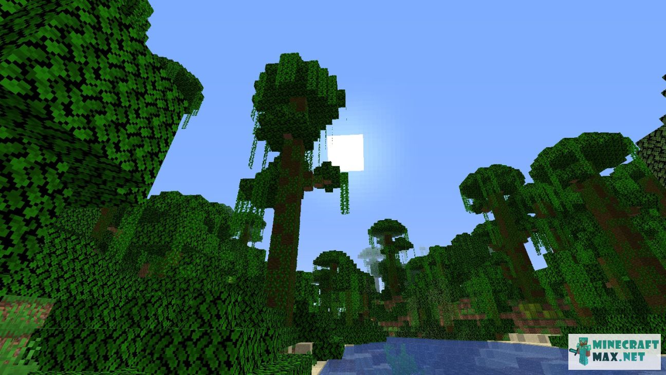 Modem in Minecraft | Screenshot 1003