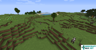 Plains in Minecraft