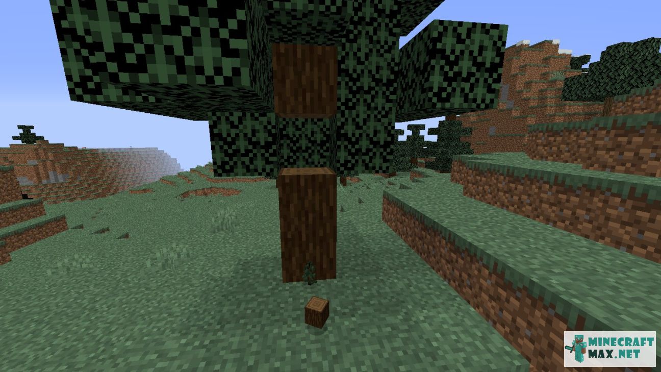 Spruce Fence in Minecraft | Screenshot 2