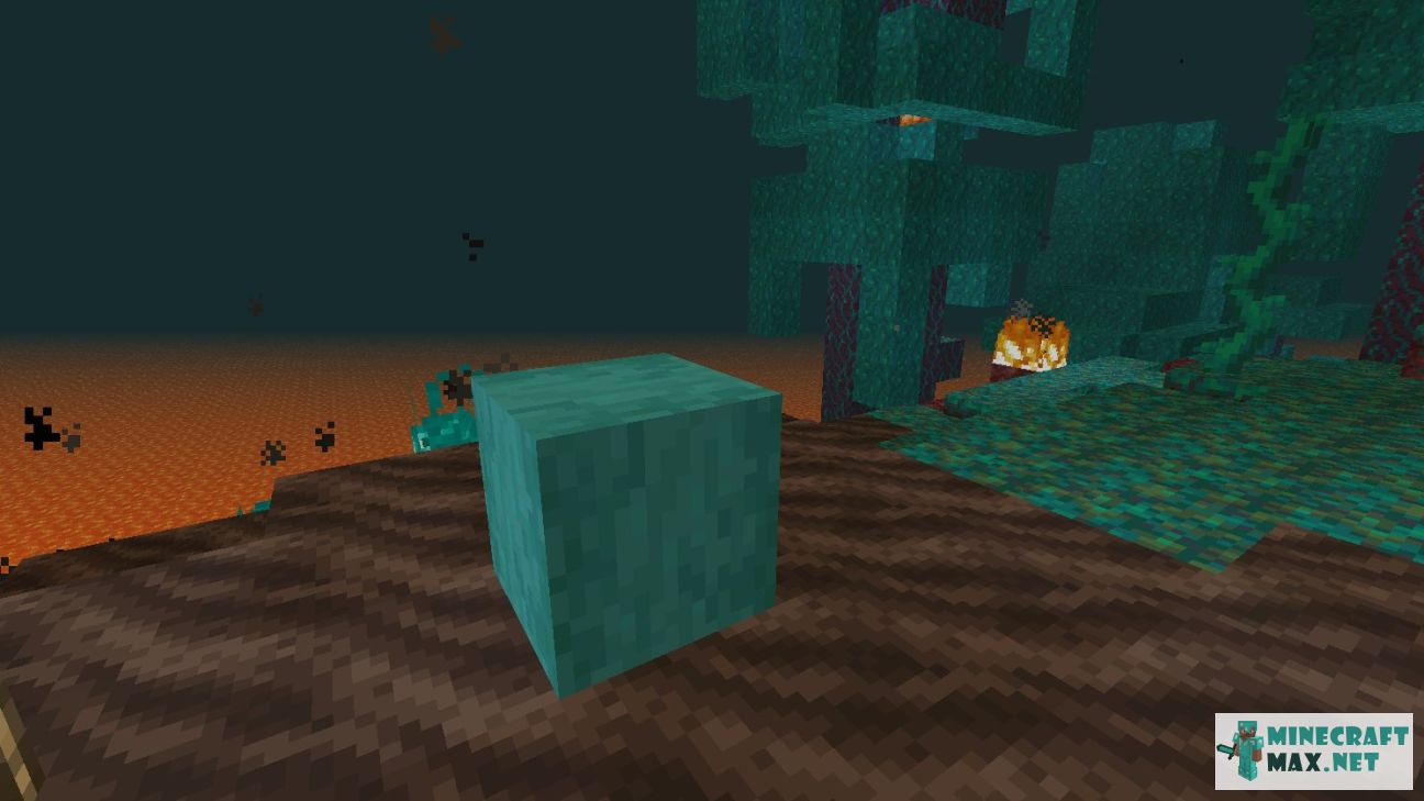Black gem in Minecraft | Screenshot 3003