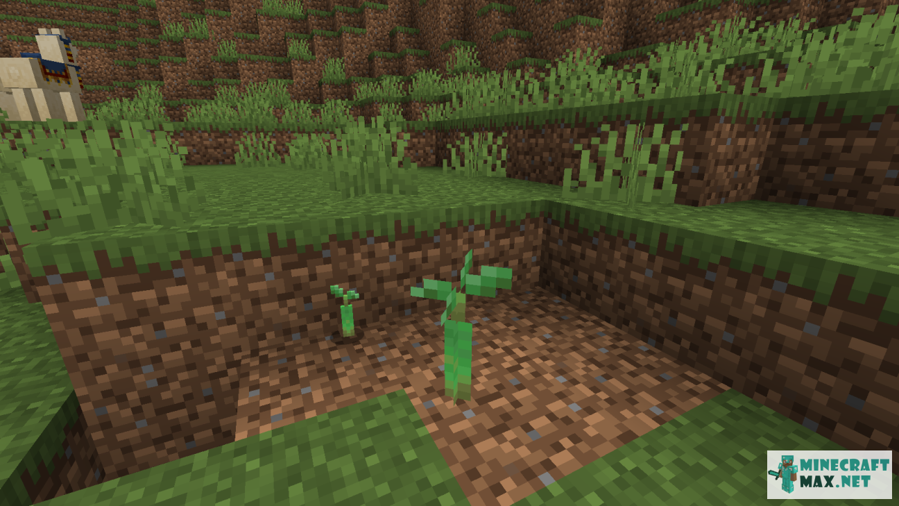 Mangrove Propagule in Minecraft | Screenshot 1