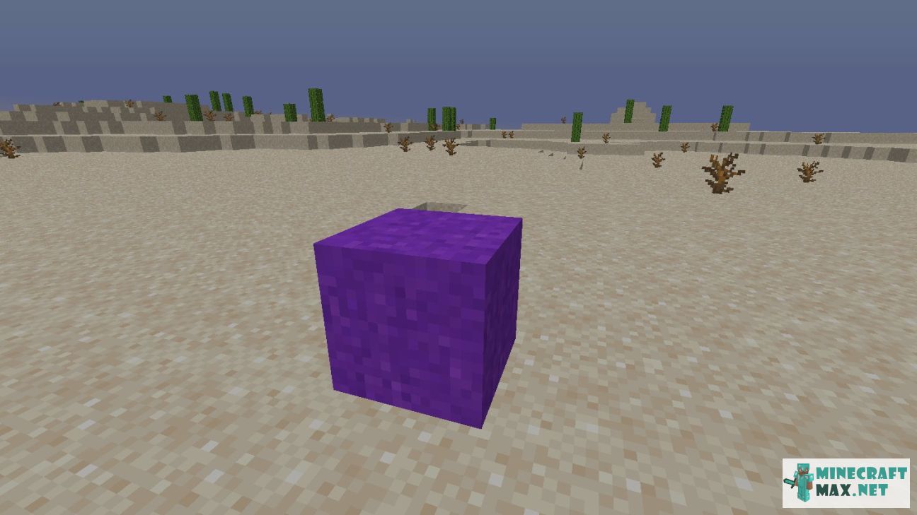 Black gem in Minecraft | Screenshot 2731